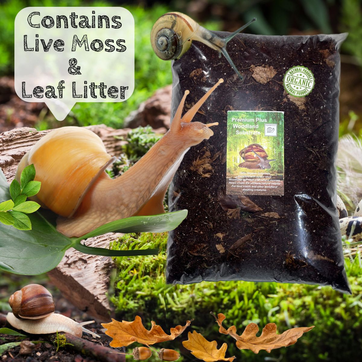 Premium Plus + Woodland Land Snail Substrate